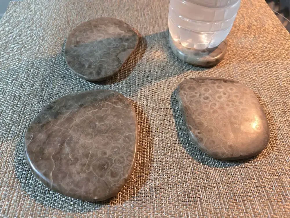 Set of 4 Polished Petoskey Stone Fossil Coral Drink Coasters with Cork Backing